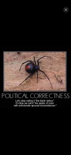 Screenshot_20241124_131343_YouTube