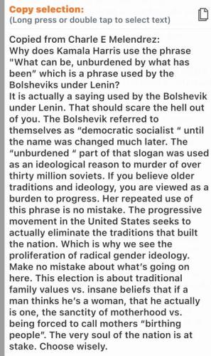 a bolshevik m