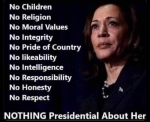 Screenshot 2024-11-04 165634