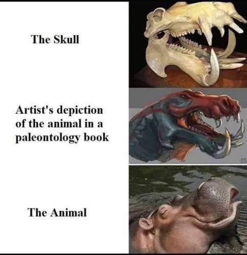 the skull