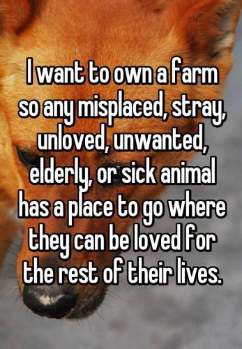 b6e87b0b98ffc0e142a6aaa27a414dc8