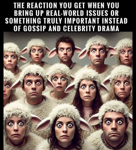 IMG_20241120_021850_264