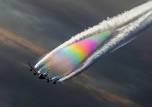 1090558a-c981-4cc6-b352-7749ed27b1ef