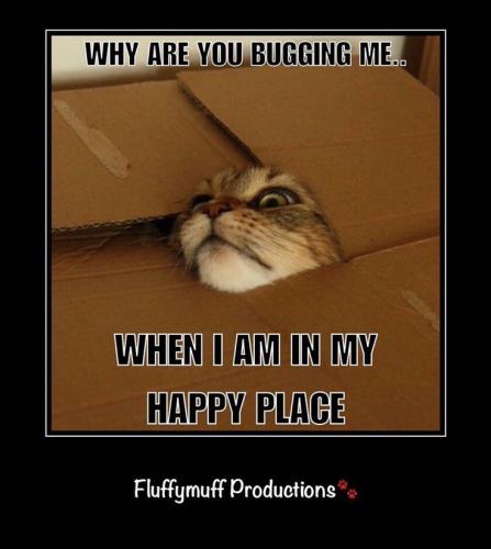 826a45f112bd83a1d5c5de7a63c66eda