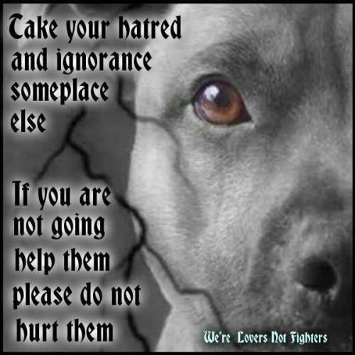 bf154ae2740814fa745a38d4ec589e5b