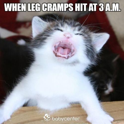 21a8d21cac37828f91142cdb1ccb0bd3