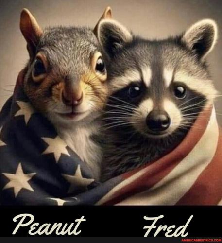 19bc60939fd57dc463e71297641f949486a8a63d7804d16a9f371902a561a660_1