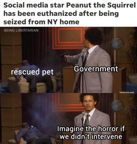 image_493F481A-BE99-472A-AC0D-9243F5C9DAAA