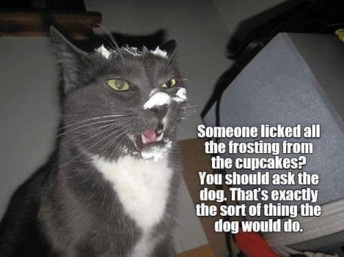 7201029c4f3a33be2b7678f17fbf28ef