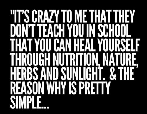 FB_IMG_1730689056519