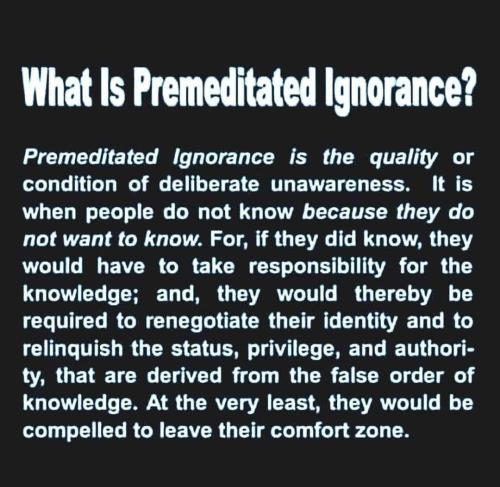 IMG_20241126_133838_484