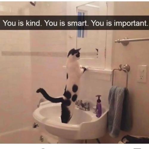 is-kind-is-smart-is-important