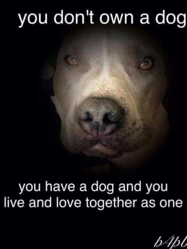 92065860be086ff5bb9f942652ef65e6