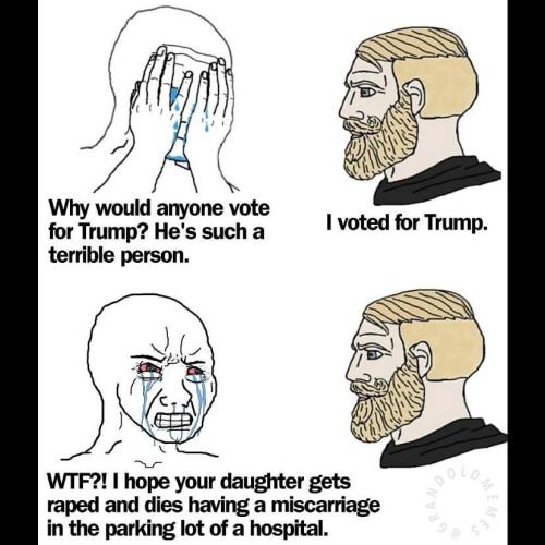 photo_2024-11-11_13-00-44