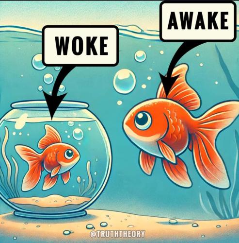 328d4a2b-6046-4219-8005-2898bd5e29f2