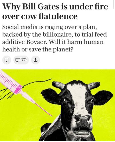 photo_2024-11-29_20-10-33