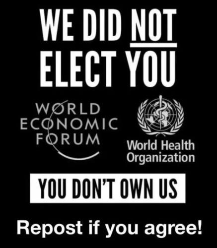 we did not elect you