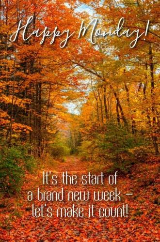 fall morning monday 2