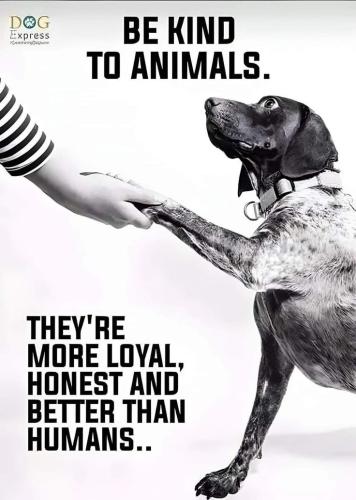 aa87f289ce9b46befb92df03ce29b165