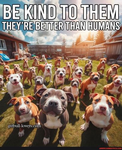 4e8663b74fe2603fa09d0f65e337cd54739bc06ba1b0470014e94650c95c0ffa_1