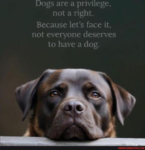 090bcbc08cd349a0f1dc98faa2d7e791bb241c14cd5781698563fdb3793d71bd_1