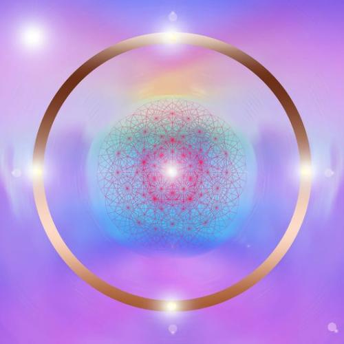 ,       ,        423193798_7468111