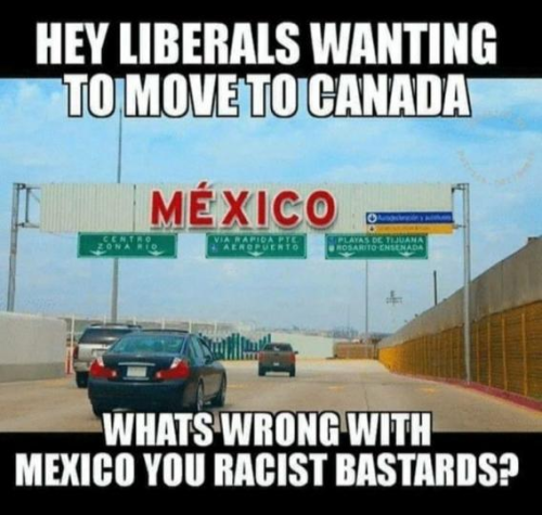 image_2024-11-13_063536225