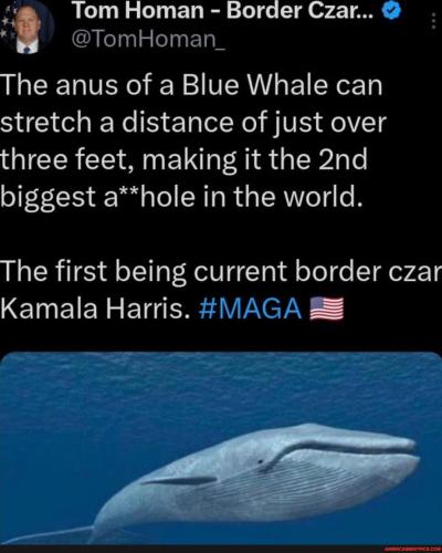 2ffa48834322fa59e2a336a4019c015382b21eb9df89404ebf98caa8b76e1ff2_1