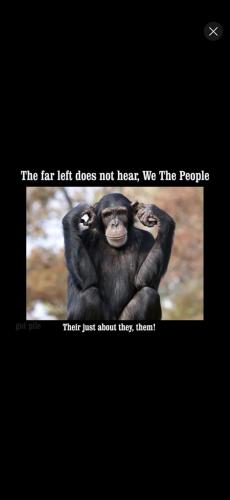 Screenshot_20241124_131249_YouTube