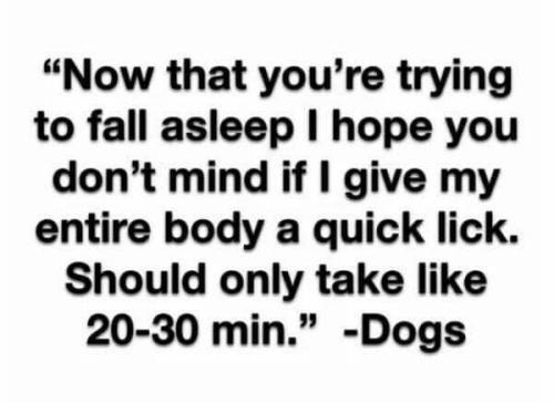 f68a82350b4d2b978ea9397a07261a47