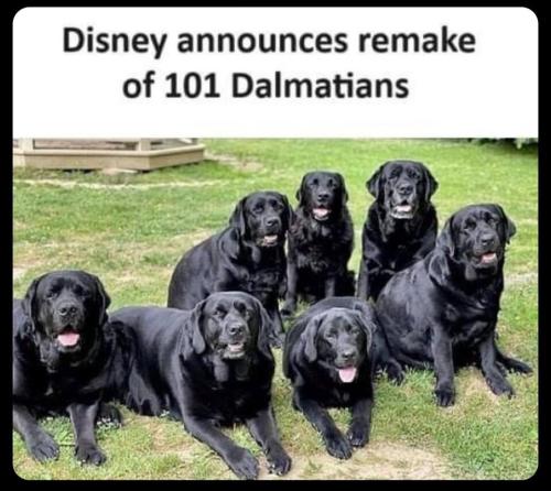 image_71828E56-AD0E-4A91-90D9-9B8AEF33A793