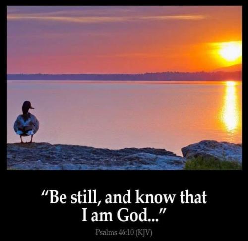 547f725b-5700-4d1b-9789-4a273251b49b