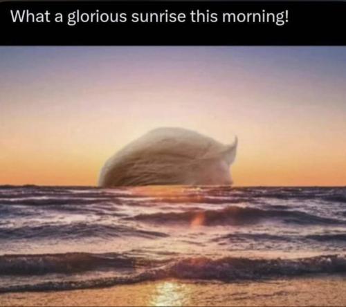 photo_2024-11-06_17-14-05