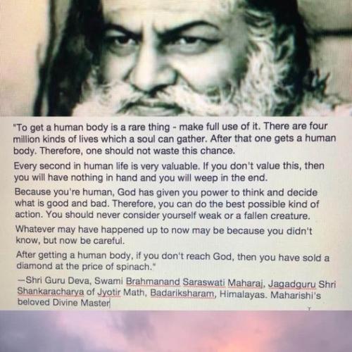 ,   417721513_10231757576