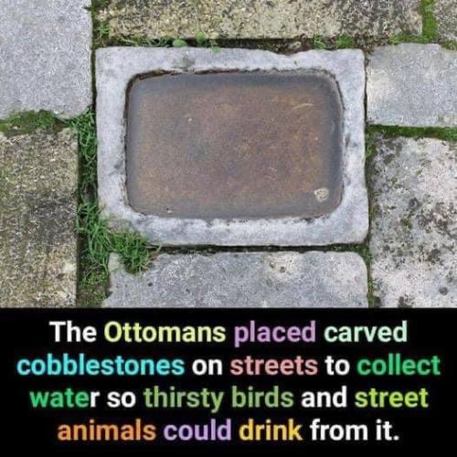 5619A223-DB83-4FBB-BE60-76C9548C14B9