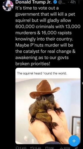 photo_2024-11-03_19-29-16