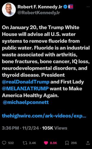 photo_2024-11-03_14-44-17