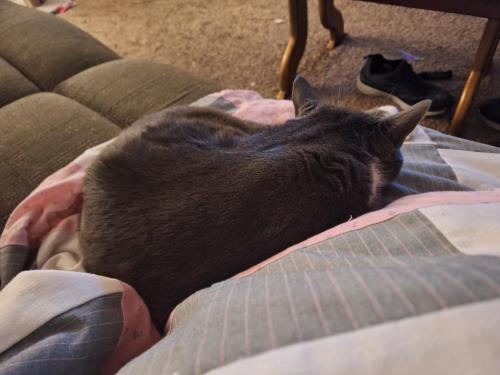 5a5f1d89-7331-42a8-94ea-3e32d4b48e9c