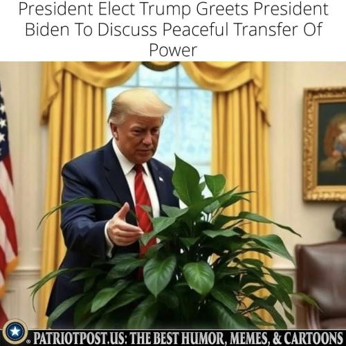 01JDHSZYV2WF07VM43KCP7N6YS