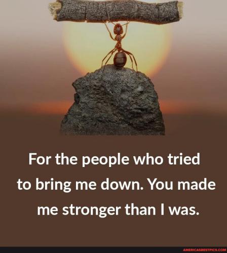 78d4ce37747c92057fa281d0a31793da950a3b63d579a4b2656fd98380ae1f7b_1