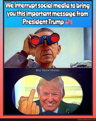 d237da12c1313b6dffb9bc2438e7147d06db89658fb4490b0bd9754786291bdb_1