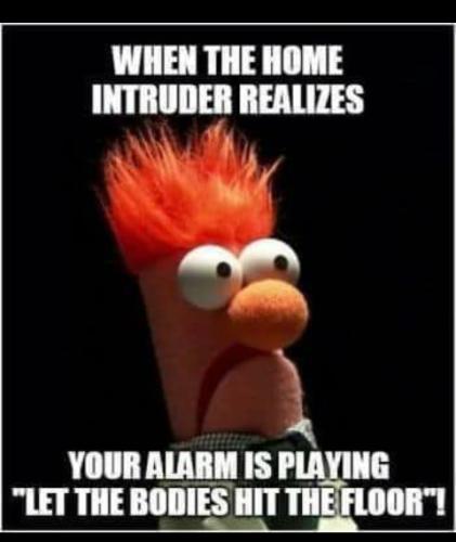 101800515_698797104027408_3456422704377233408_n