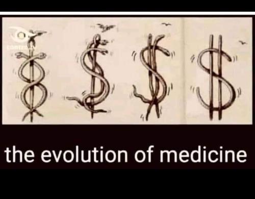 Screenshot_2024-11-28-15-22-56-35_a23b203fd3aafc6dcb84e438dda678b6