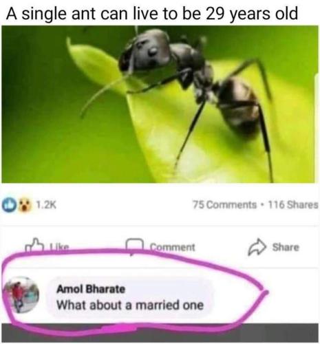 image_884357EA-C3E3-47AB-B583-375BBEA09241