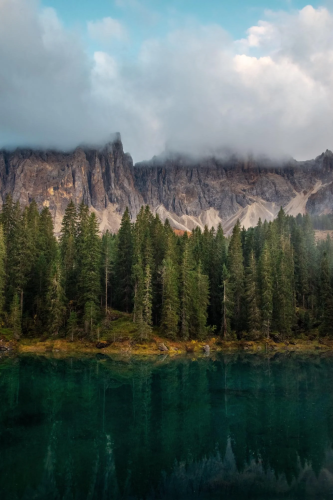 RDT_20241127_1037406202234045599717878