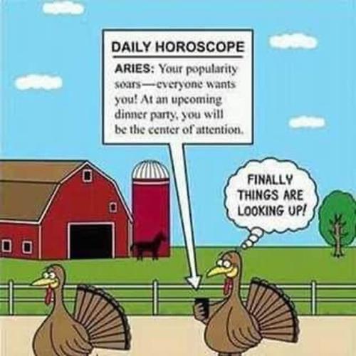 acf3fc1c38c9d9153bd1be96bf93b8fd