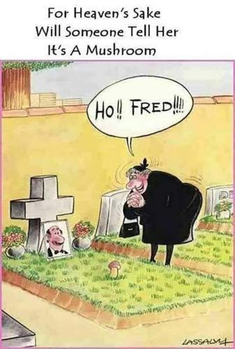 06D45704-7D3B-4B49-91D2-E7A579FC6B4B