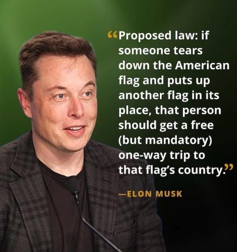 Musk 1