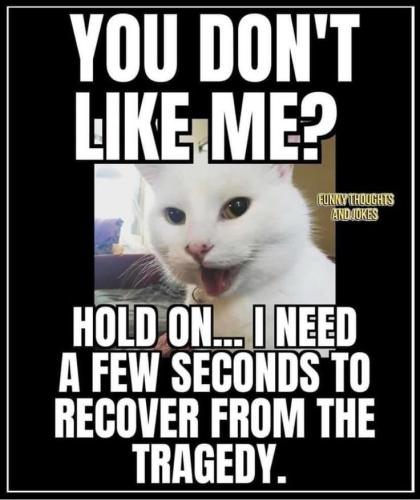 565dc12890d635eeda818abf9e5682de