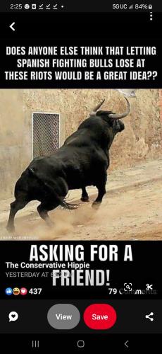 Screenshot_20241101_142527_Pinterest